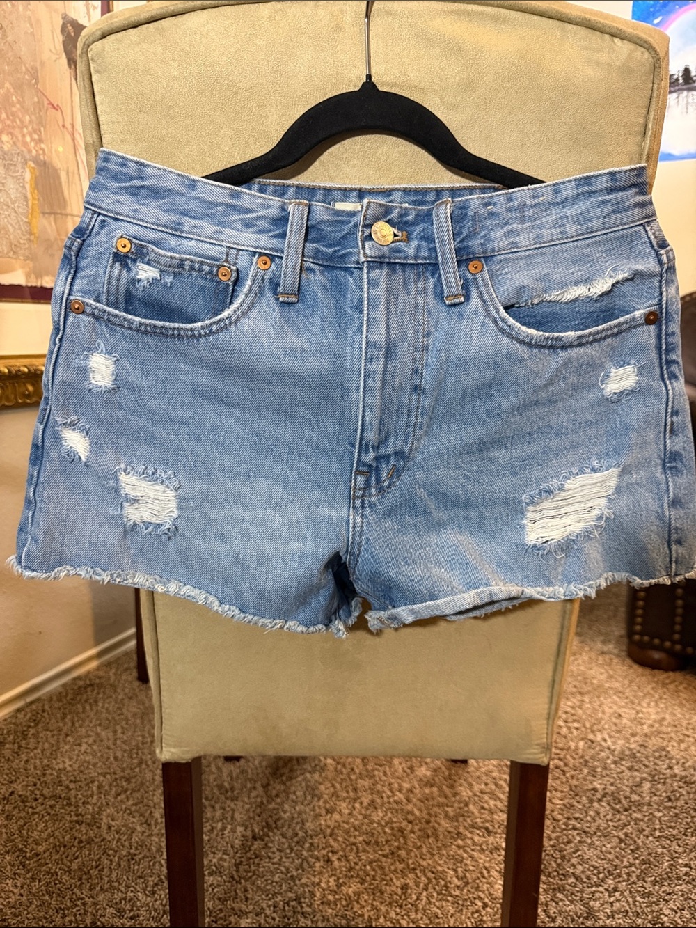 Madewell Relaxed Denim Shorts size 27